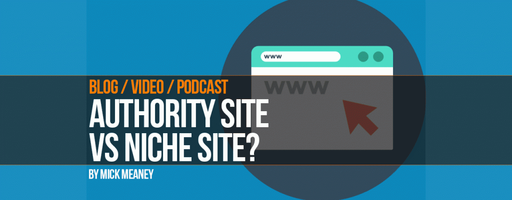 Authority Sites vs Niche Sites